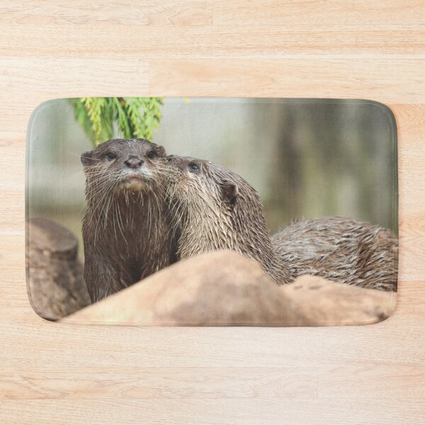 Artikelvorschau, Otter Kuss entworfen und verkauft von GreyFeatherPhot.