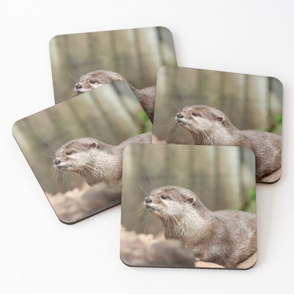 Item preview, Asian short clawed otter designed and sold by GreyFeatherPhot.