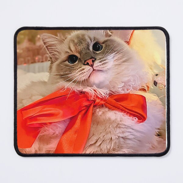 Item preview, Beautiful lynx ragdoll cat designed and sold by Fluffycat2020.