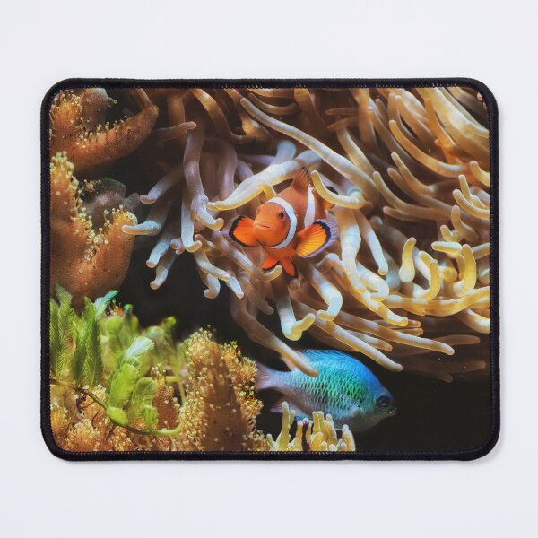 Item preview, Clownfish coming out of seaweed marine life designed and sold by TheArtistOf2022.