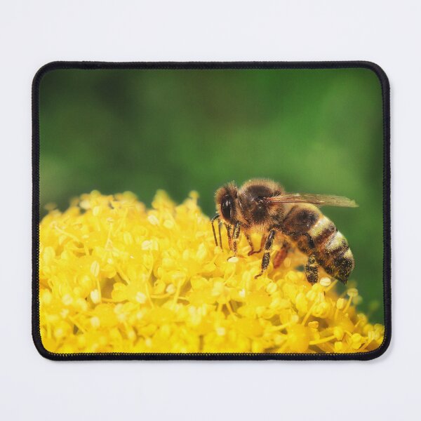 Item preview, Large bee pollinating on Yellow Flower - Nature photo designed and sold by TheArtistOf2022.