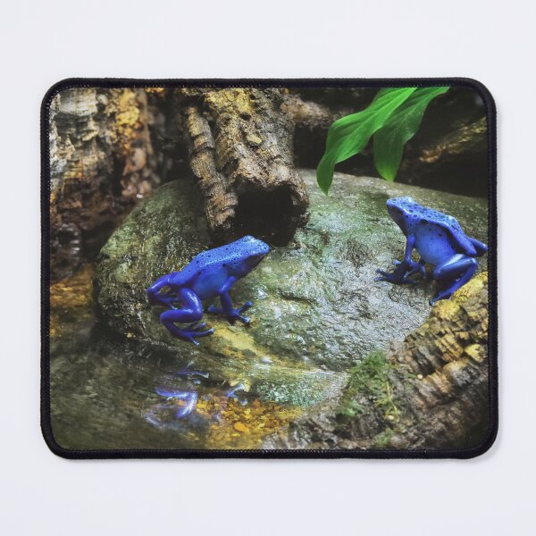 Item preview, Blue Dart Frogs in pond - Nature photo designed and sold by TheArtistOf2022.