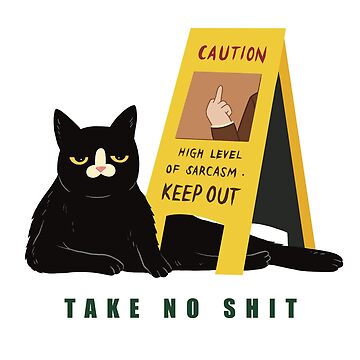 Artwork thumbnail, Take No Shit by Studio After Cigs