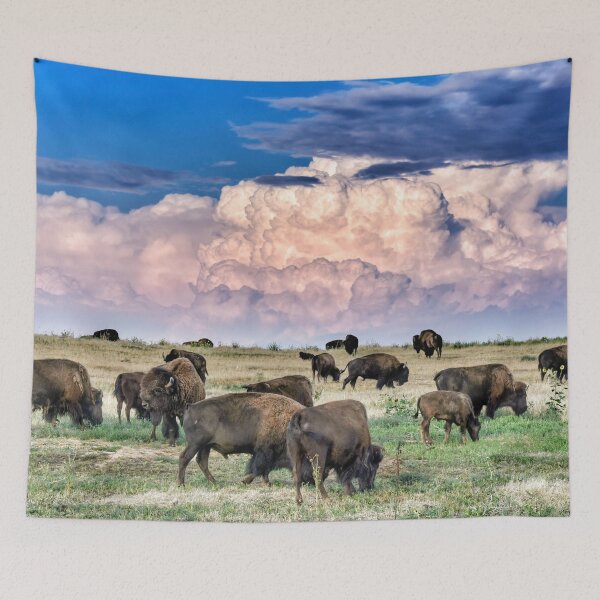 Item preview, Colorado Bison Herd designed and sold by Elevated Imaging .