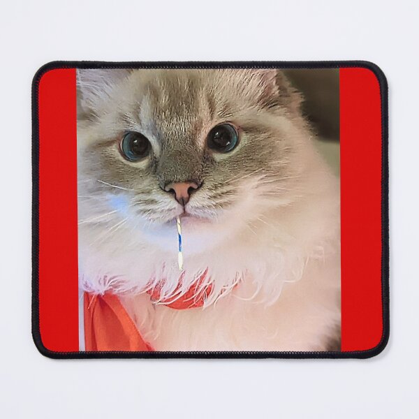 Item preview, Beautiful lynx ragdoll cat designed and sold by Fluffycat2020.