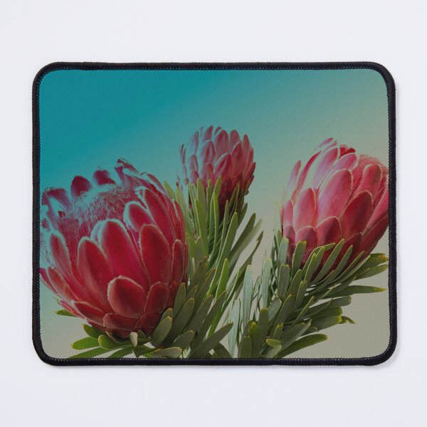 Item preview, 3 Protea Flowers designed and sold by popgoesthepixel.