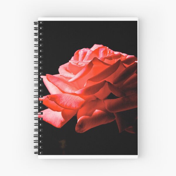 Item preview, Red Rose by Candlelight designed and sold by jjohnsueb.