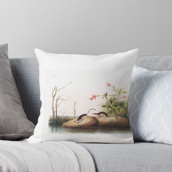 Item preview, American Marsh Shrew Portrait designed and sold by Oldetimemercan.