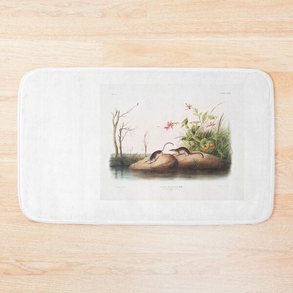 Item preview, American Marsh Shrew Portrait designed and sold by Oldetimemercan.