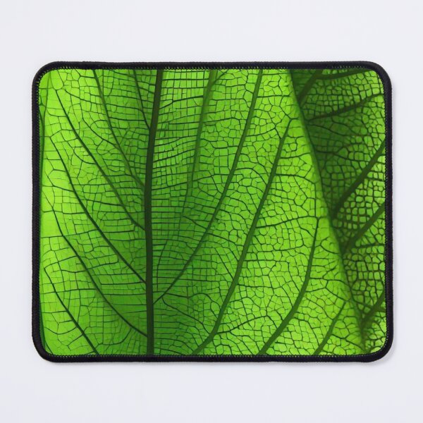 Item preview, Green Leaves 1 designed and sold by blackwhiteblue.