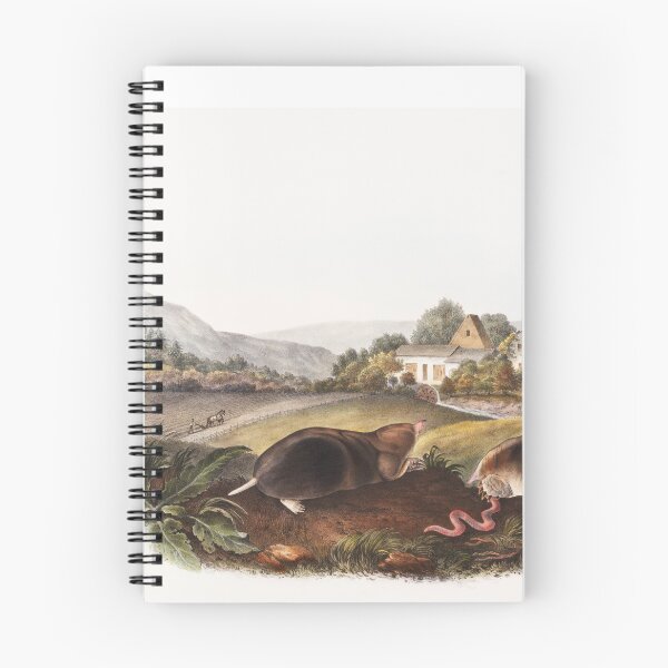 Item preview, American Shrew Mole Portrait designed and sold by Oldetimemercan.