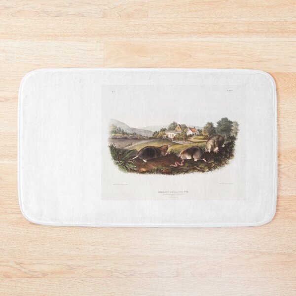 Item preview, American Shrew Mole Portrait designed and sold by Oldetimemercan.
