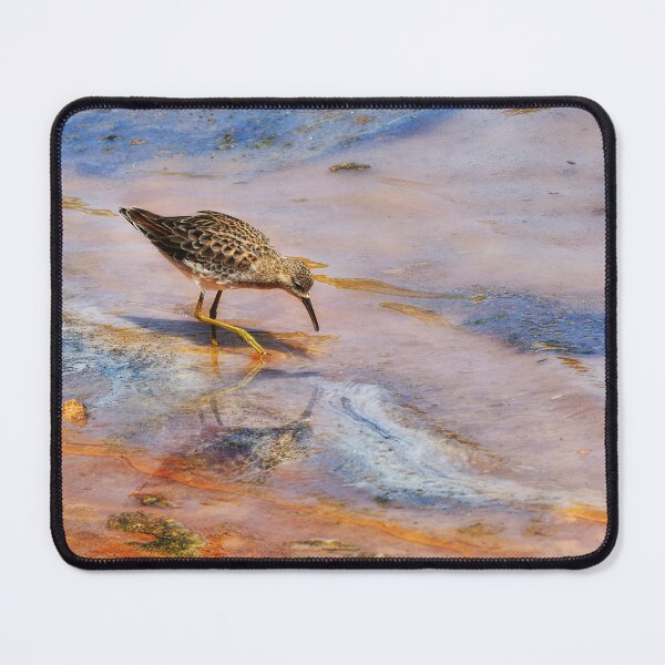 Item preview, Tiny Bird walking in lake - Nature photo designed and sold by TheArtistOf2022.