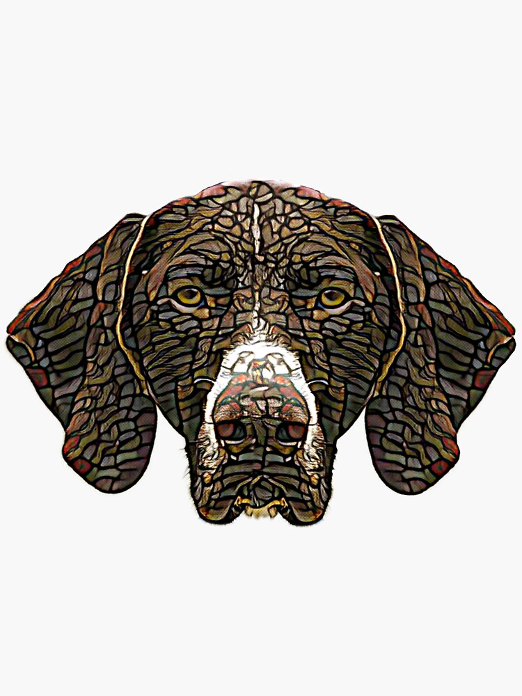 German Shorthaired Pointer Face