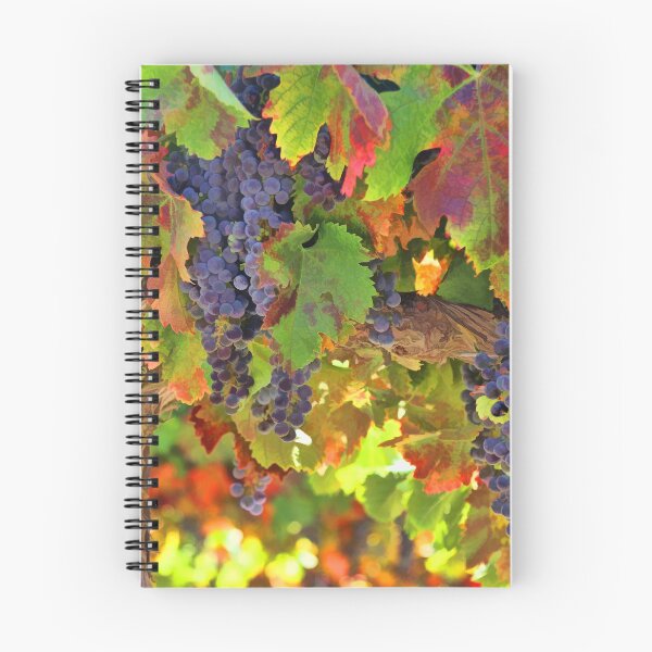 Artikelvorschau, Herbst-Ernte-Wein-Weinberg mit Trauben entworfen und verkauft von Stephanie Laird.