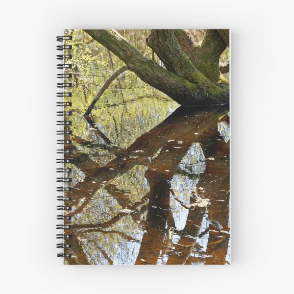 Aperçu de l'œuvre Reflets emmêlés 3 créée et vendue par Stephen Frost.