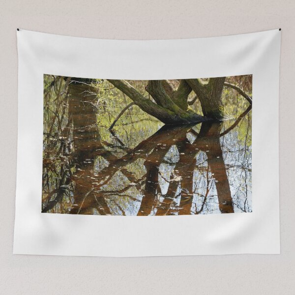 Item preview, Reflexiones enredadas 3 designed and sold by Stephen Frost.