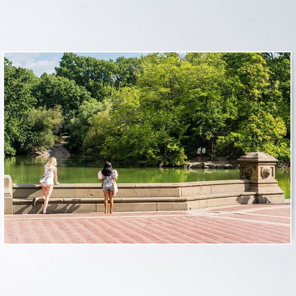 Item preview, Girls day out at Central Park designed and sold by KensLensDesigns.