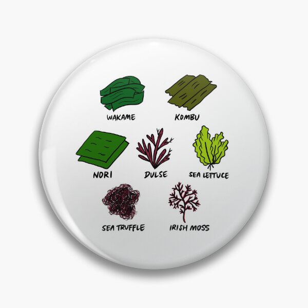 Item preview, Illustrated Types of Edible Seaweed including Wakame, Kombu, Nori, Dulse, Sea Lettuce, Sea Truffle, Irish Moss designed and sold by bonniemamadraws.