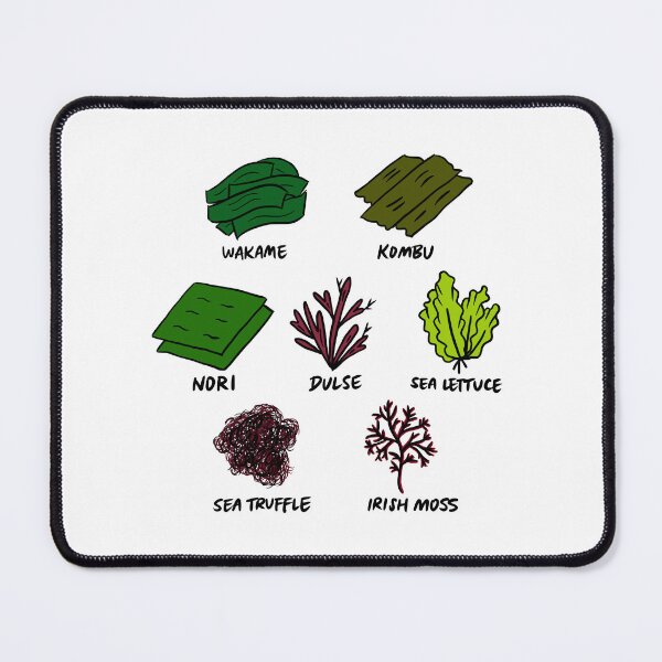 Item preview, Illustrated Types of Edible Seaweed including Wakame, Kombu, Nori, Dulse, Sea Lettuce, Sea Truffle, Irish Moss designed and sold by bonniemamadraws.