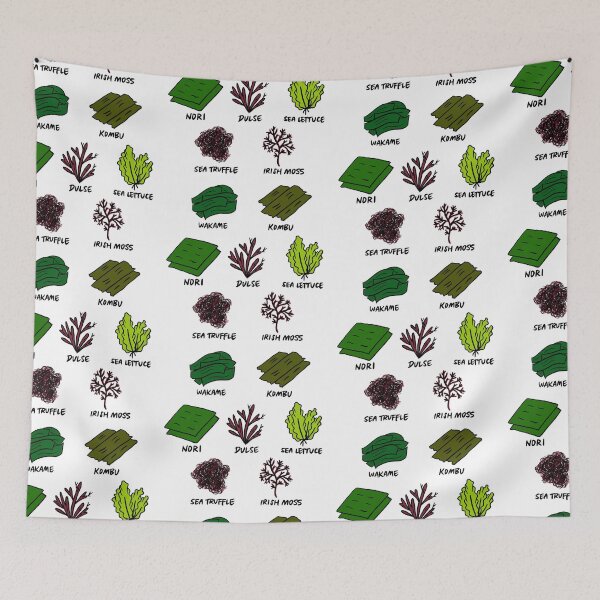 Item preview, Illustrated Types of Edible Seaweed including Wakame, Kombu, Nori, Dulse, Sea Lettuce, Sea Truffle, Irish Moss designed and sold by bonniemamadraws.