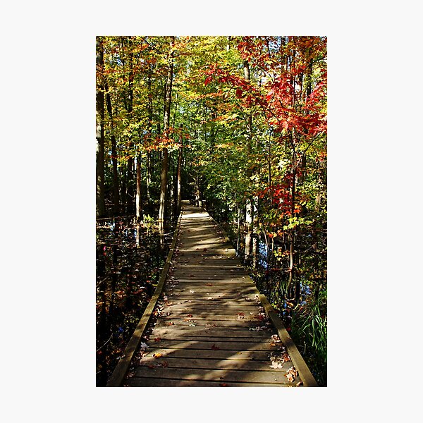 Item preview, Autumn Walk designed and sold by Debbie Oppermann.