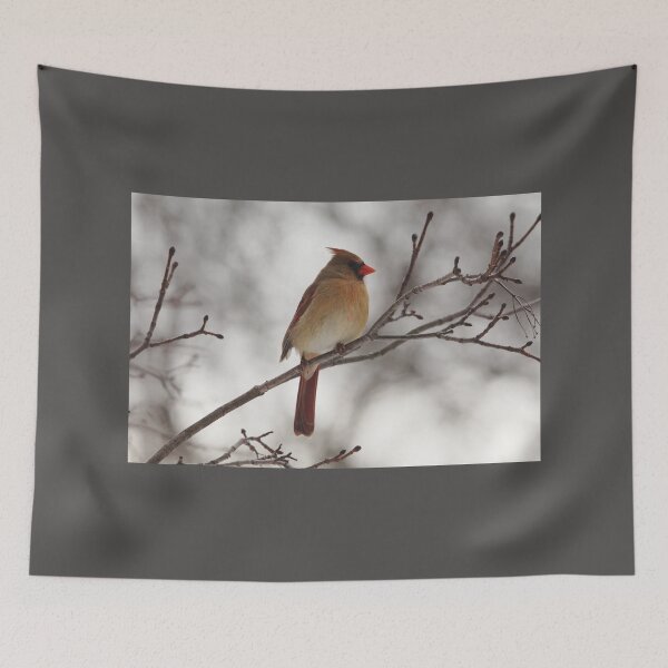 Item preview, Perched Female Red Cardinal designed and sold by Debbie Oppermann.