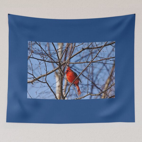 Item preview, Brilliant Red designed and sold by Debbie Oppermann.
