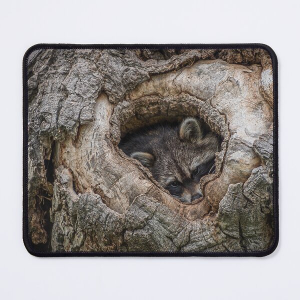Item preview, Ready For Nightfall designed and sold by Elevated Imaging .