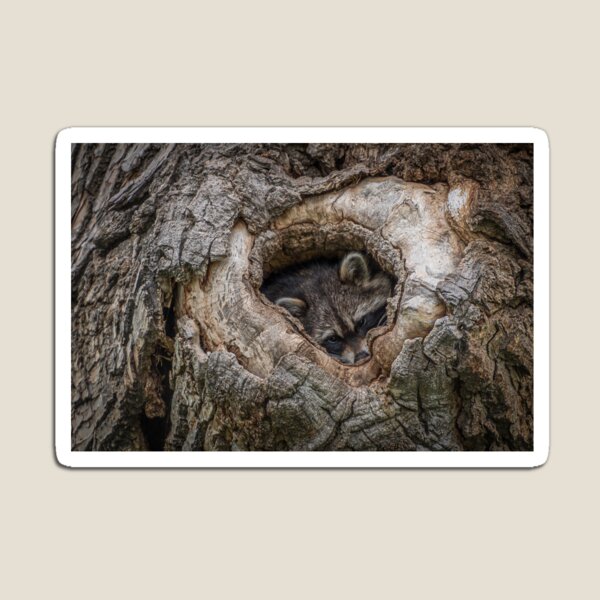 Item preview, Ready For Nightfall designed and sold by Elevated Imaging .