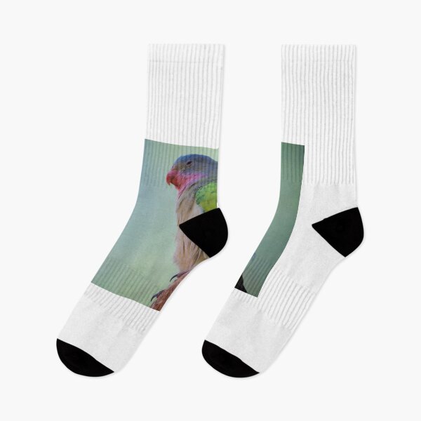 Item preview, The Parrot designed and sold by D-GaP.