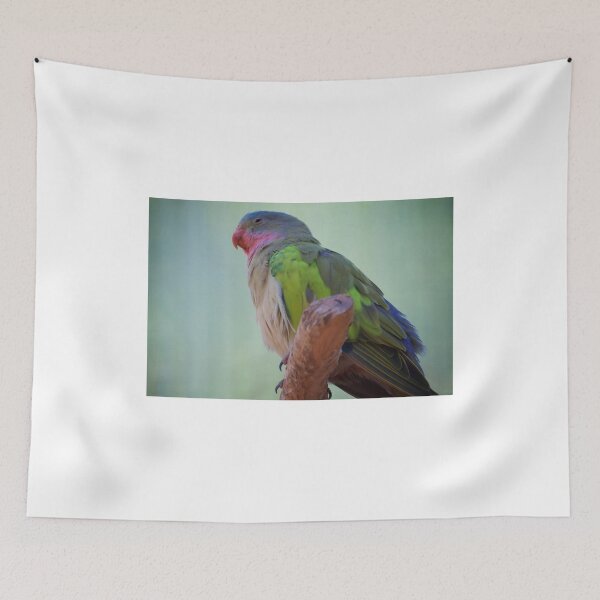 Item preview, The Parrot designed and sold by D-GaP.