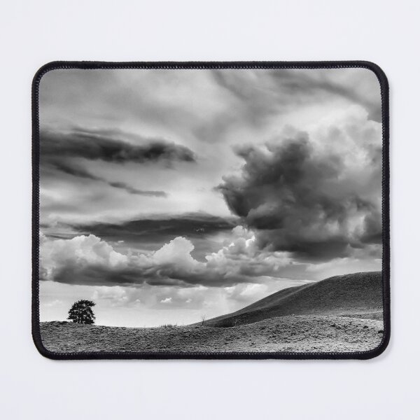Item preview, North Park Ponderosa designed and sold by Elevated Imaging .