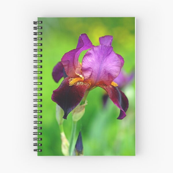 Item preview, Glowing Iris designed and sold by Debbie Oppermann.