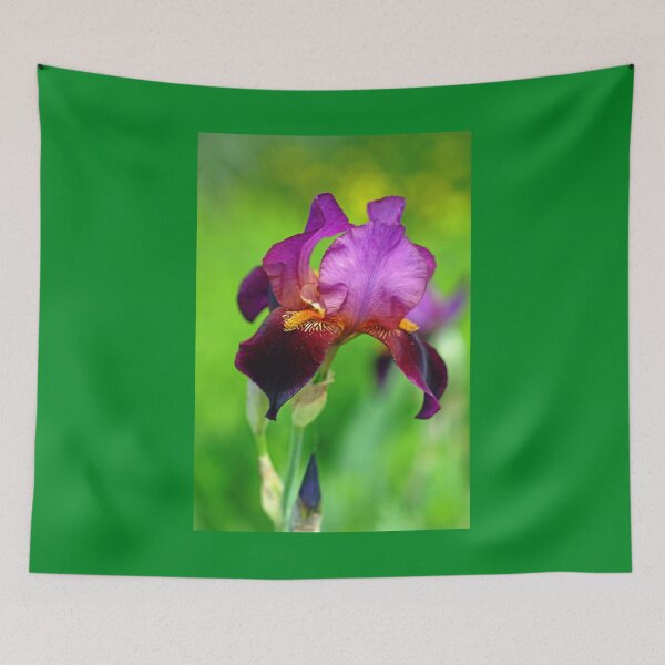 Item preview, Glowing Iris designed and sold by Debbie Oppermann.