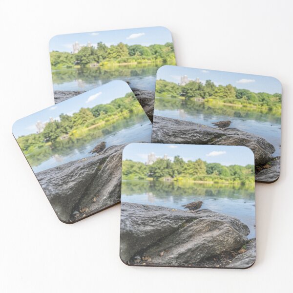 Item preview, Starling in Central Park designed and sold by KensLensDesigns.