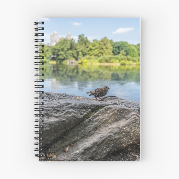Item preview, Starling in Central Park designed and sold by KensLensDesigns.