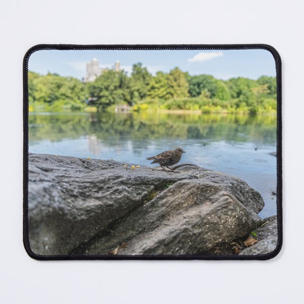 Item preview, Starling in Central Park designed and sold by KensLensDesigns.