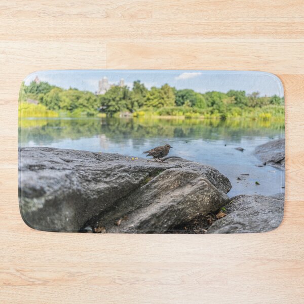 Item preview, Starling in Central Park designed and sold by KensLensDesigns.