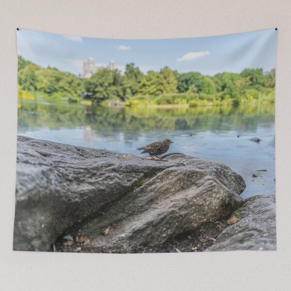 Item preview, Starling in Central Park designed and sold by KensLensDesigns.