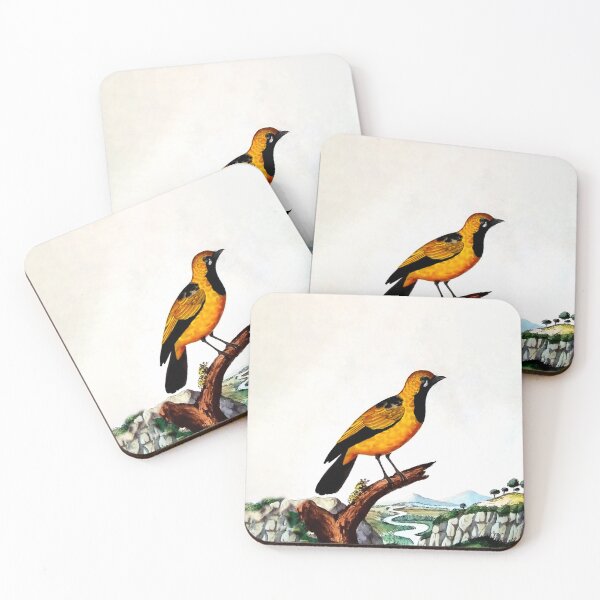 Item preview, Antique Bird Engraving designed and sold by louisxvpod.