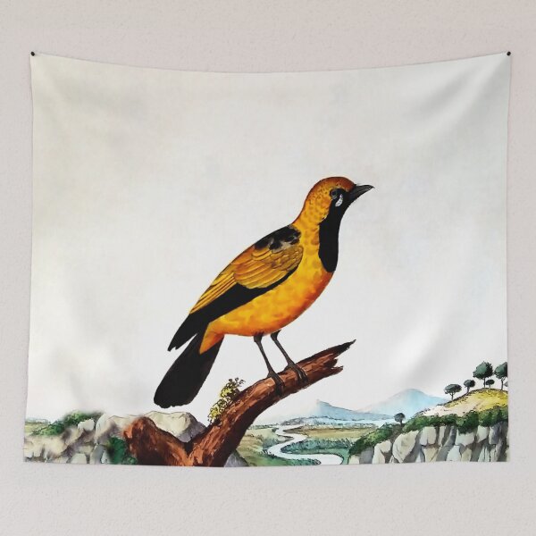 Item preview, Antique Bird Engraving designed and sold by louisxvpod.