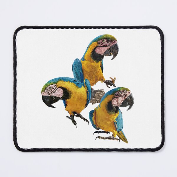 Item preview, The blue and yellow macaw designed and sold by obscurite.