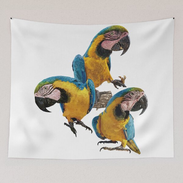 Item preview, The blue and yellow macaw designed and sold by obscurite.