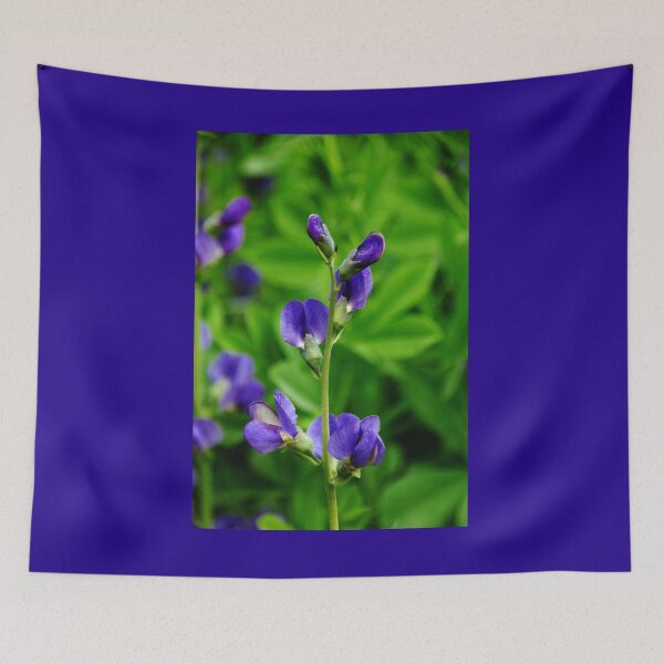 Item preview, Violet Blue designed and sold by Debbie Oppermann.