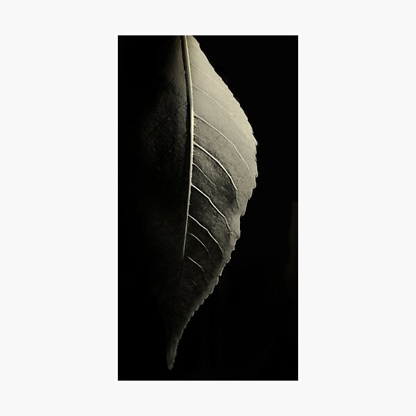 Dark Side of the Moon Photographic Print