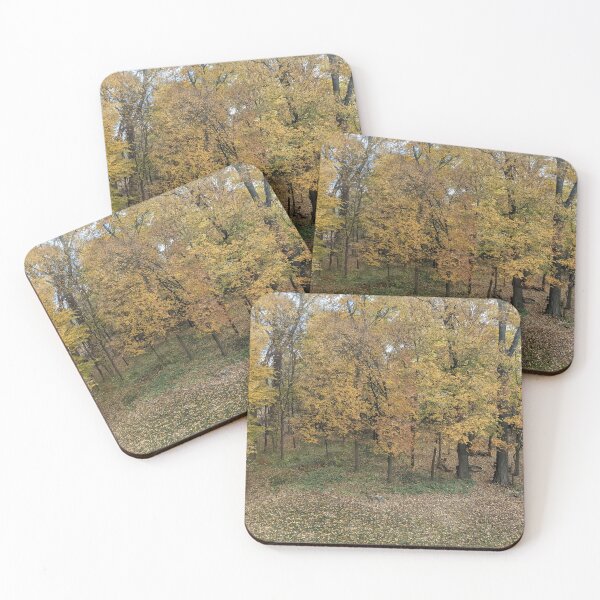 Item preview, Northern Michigan Autumn Woods View  designed and sold by UPNortheren.