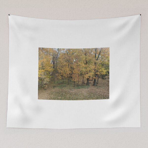 Item preview, Northern Michigan Autumn Woods View  designed and sold by UPNortheren.