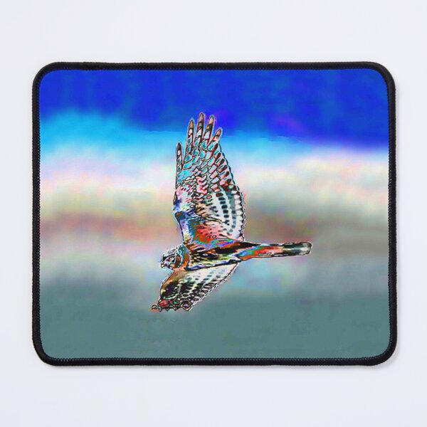 Item preview, Hawk, Falcon, Raptor designed and sold by Carlo Varo.