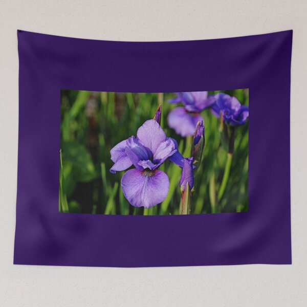 Item preview, Dew Kissed Iris designed and sold by Debbie Oppermann.